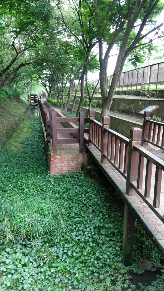 隧道前木棧道 攝影：Eva隨手拍
