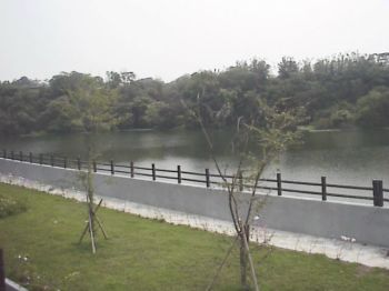 水庫旁一景 攝影：郭香妙