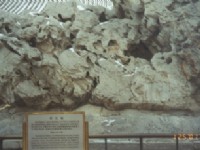 古園林置石<br/> 攝影：朱志宏