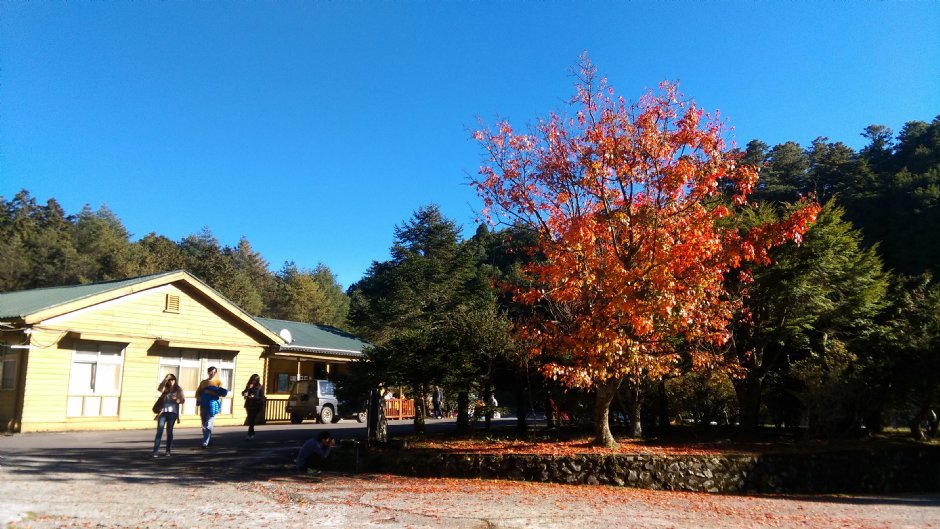 大雪山國家森林遊樂區 攝影：晏伶
