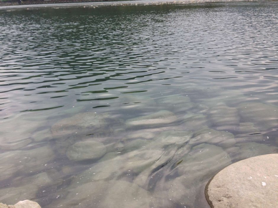 梅花湖 攝影：陳皮梅