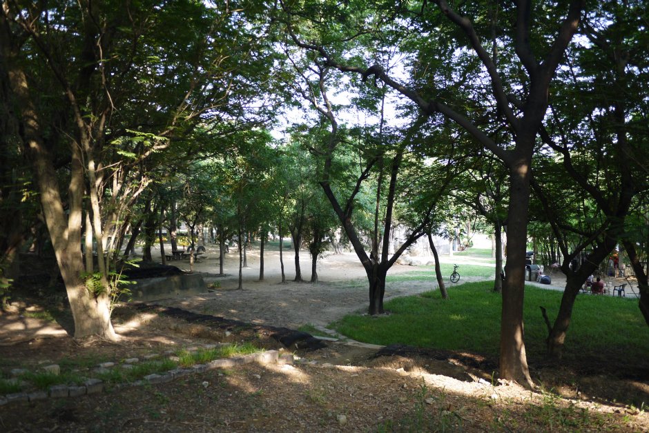 獅山步道 攝影：三井