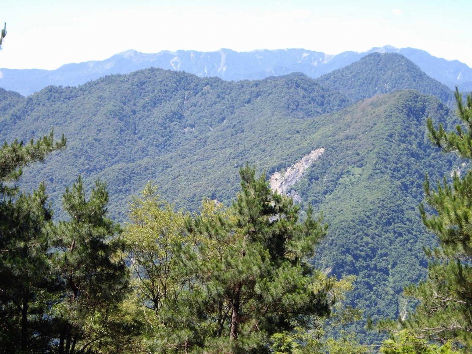 蒼芎山頂景色 攝影：老山羊部落格