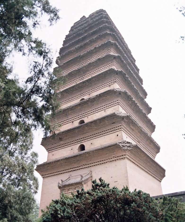 仰望小雁塔 攝影：林明德