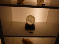 春池綠能夜光玻璃(一般光源下)<br/> 攝影：旅遊王攝影組