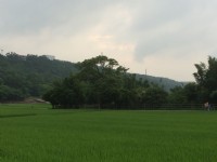 龍潭大池自行車道<br/> 攝影：Leon Tsai