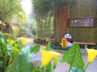 園區一景<br/> 攝影：青竹園 提供