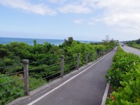 東海岸自行車道<br/> 攝影：Eva隨手拍