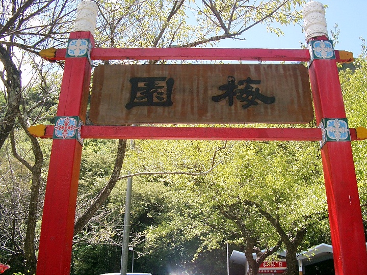 梅園 攝影：Eva隨手拍