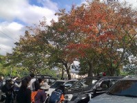 拱北殿楓葉<br/> 攝影：Eva隨手拍
