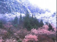 米亞羅的初冬<br/> 攝影：四川旅遊信息網