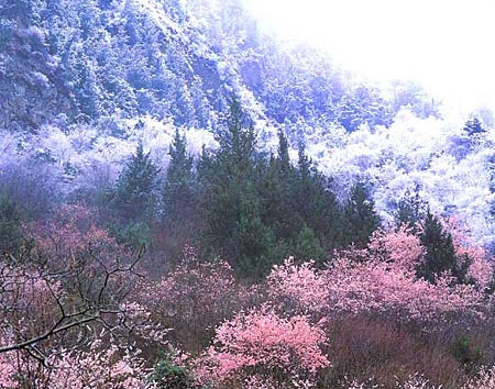 米亞羅的初冬 攝影：四川旅遊信息網