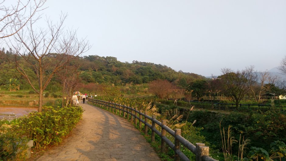 大坑溪三生步道 攝影：Eva隨手拍