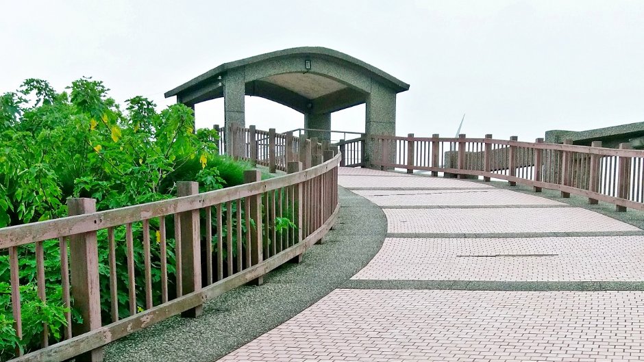 香山濕地 攝影：Eva隨手拍