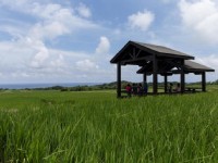 可觀稻、聽海，感受悠閒的時光<br/> 攝影：台東觀光旅遊網 提供