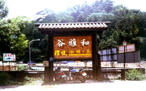 和雅谷前景 攝影：南投縣政府