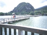 鼎湖山國家森林公園-1<br/> 攝影：沈兆樑