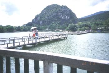 鼎湖山國家森林公園-1 攝影：沈兆樑