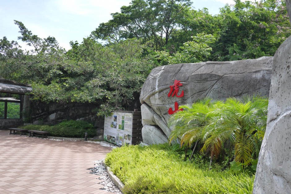 壽山動物園虎山 攝影：三井