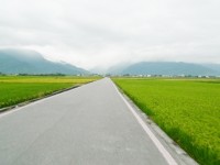 伯朗大道<br/> 攝影：Eva隨手拍