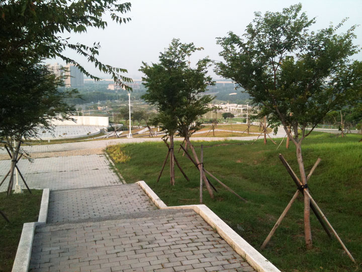高雄都會公園 攝影：三個井