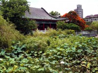 高雄左營孔廟<br/> 攝影：林山景