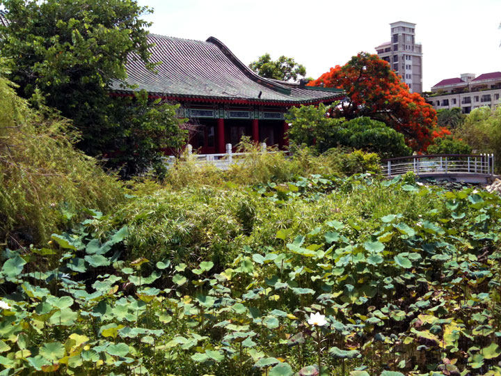 高雄左營孔廟 攝影：林山景