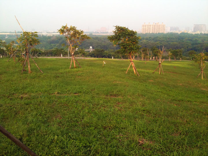 高雄都會公園 攝影：三個井