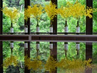 餐廳新館落地玻璃<br/> 攝影：藏酒酒莊 提供
