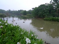 八德埤塘生態公園<br/> 攝影：Eva隨手拍