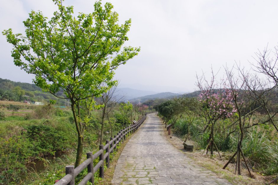 大坑溪三生步道 攝影：Eva隨手拍