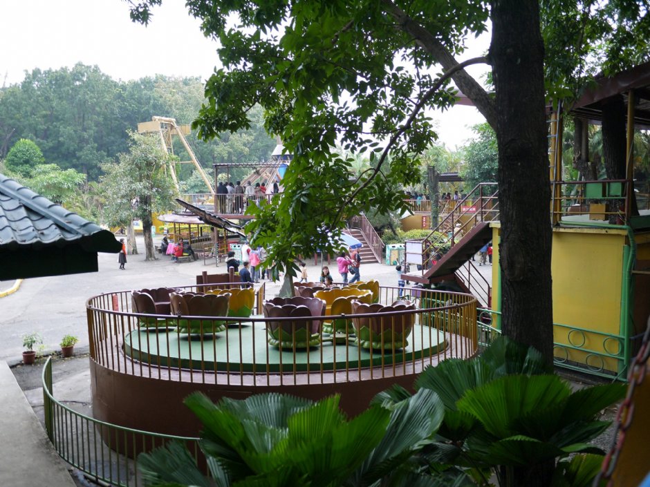 8大森林樂園 攝影：三個井