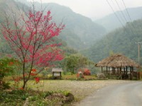來吉村入口<br/> 攝影：老山羊部落格