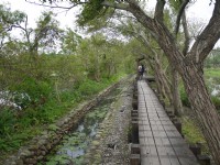 羅東林場環池步道<br/> 攝影：旅遊王攝影組