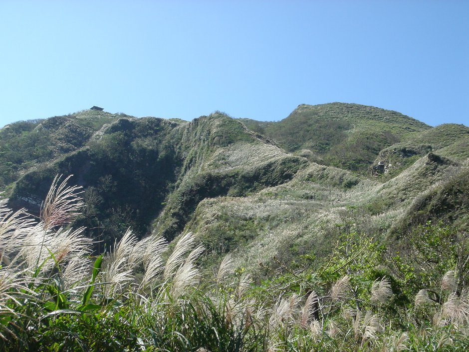 山頭 攝影：陳美吟