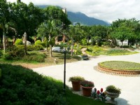 鬱金香花園<br/> 攝影：Eva隨手拍