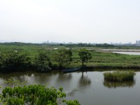 關渡自然公園<br/> 攝影：meiyin