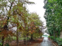 初英親水生態公園<br/> 攝影：Eva隨手拍