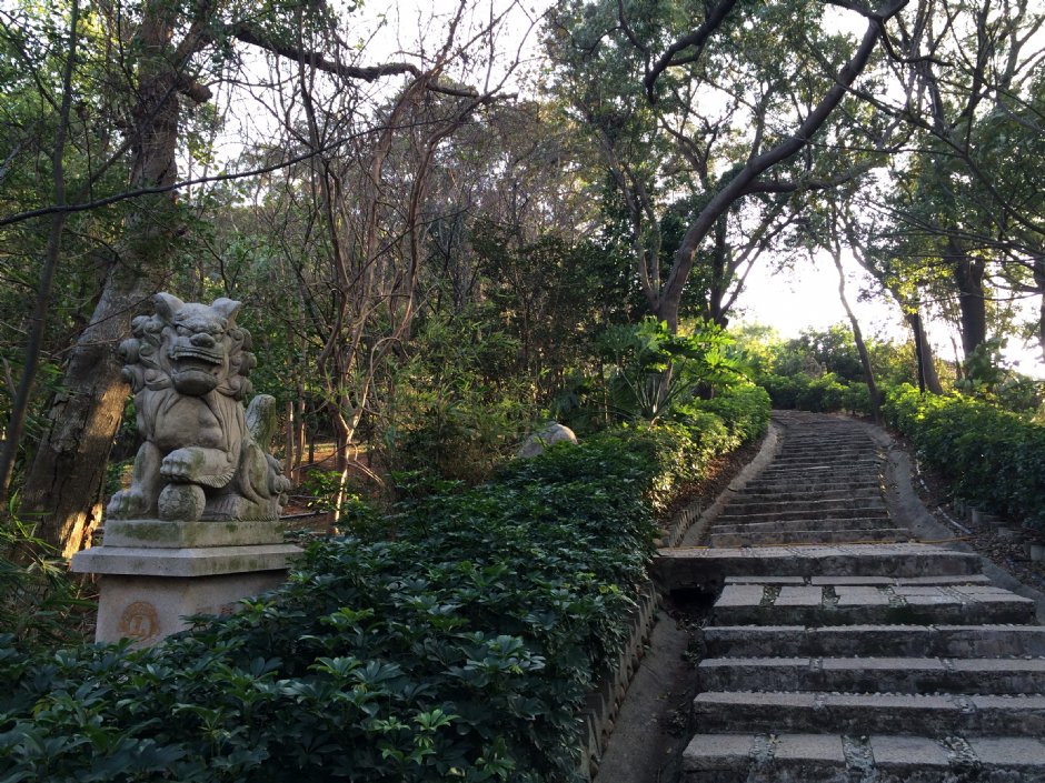 楊梅貴山公園 攝影：Leon Tsai