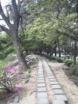 賞景步道 攝影：郭香妙