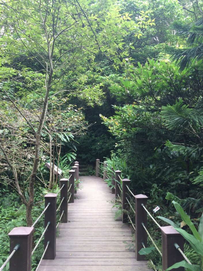 富陽自然生態公園 攝影：Eva隨手拍
