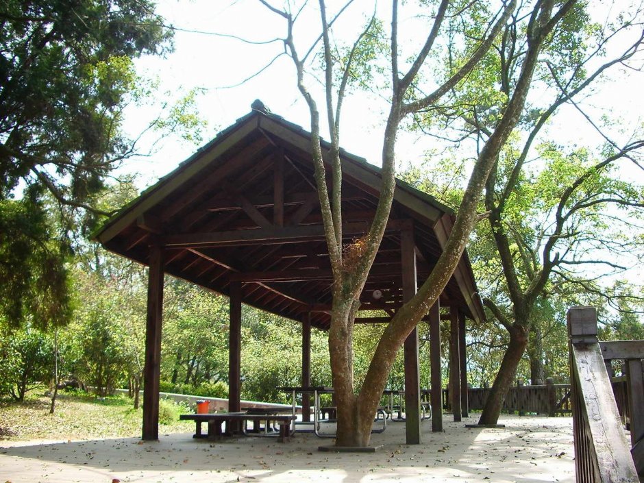 虎子山休憩亭 攝影：老山羊部落格