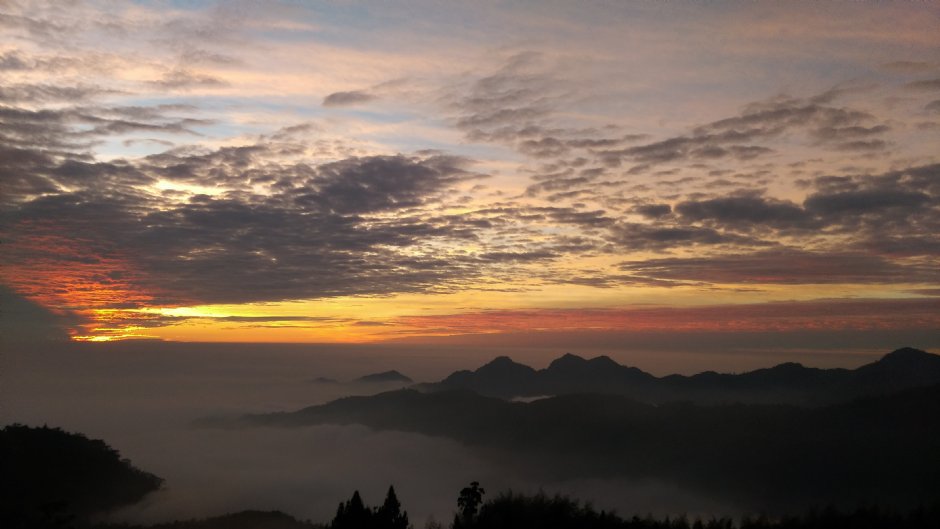 阿里山雲海 攝影：晏伶