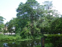 大東濕地公園<br/> 攝影：旅遊王攝影組