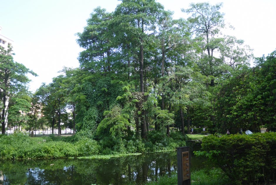 大東濕地公園 攝影：旅遊王攝影組