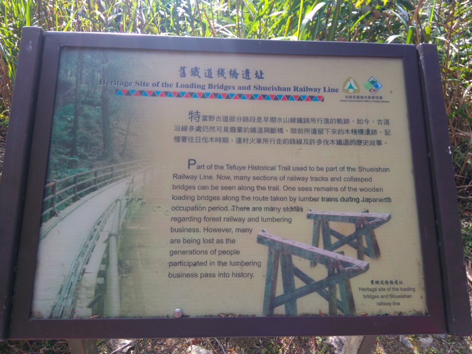 特富野古道 攝影：Lu