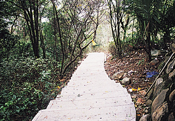 瓊仔湖登山步道 攝影：餐飲名店情報