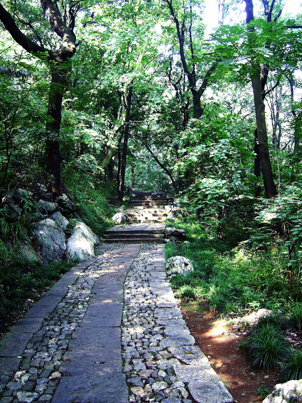 玉皇山-秀麗園景 攝影：方盛文