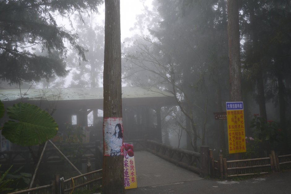 大學池 攝影：三井