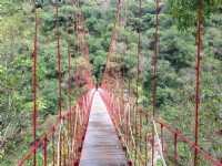 天龍吊橋<br/> 攝影：林錦萍